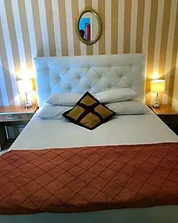 Bougenvilia Tomas 3*