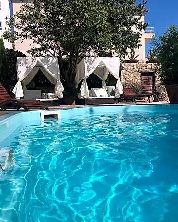 Bougenvilia Tomas 3*