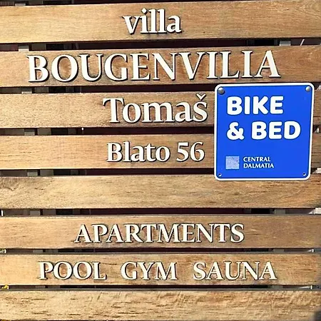 Bougenvilia Tomas 3* 마카르스카