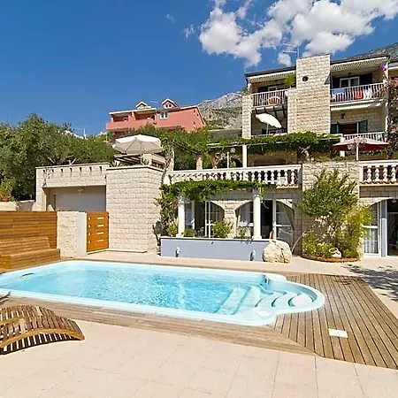 Bougenvilia Tomas 3*